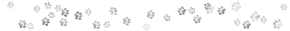 cat footprints
